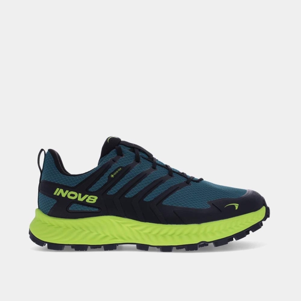 Roclite™ GTX Mens