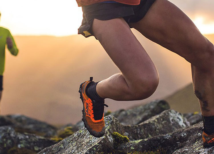 Reviews Of The X-TALON G 235