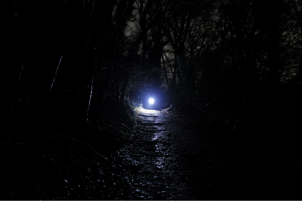 Darkness cannot drive out darkness; only light can do that.