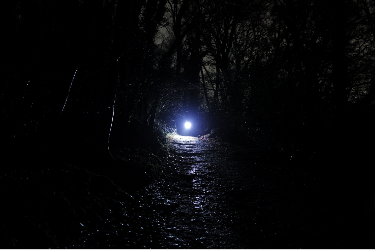 Darkness cannot drive out darkness; only light can do that.