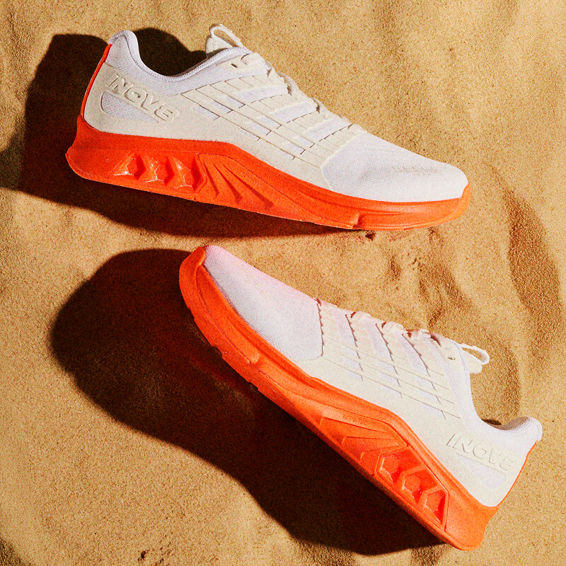 F-Lite Max 1